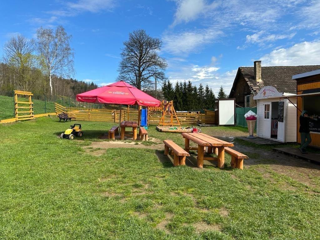Agroturystyka Alpaka Konradow Apartman Konradow  Kültér fotó